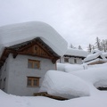 IMG 7866