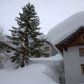 IMG 7869