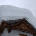 IMG 7879