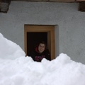 IMG 7894