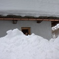 IMG 7895