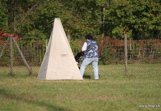 IMG 8284