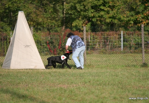 IMG 8286