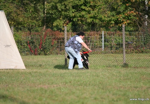 IMG 8289