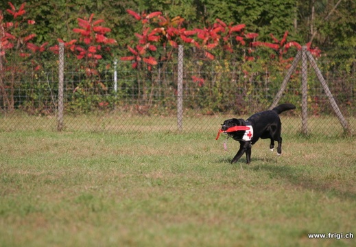 IMG 8293