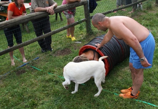 IMG 0068-1