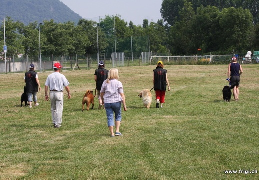 IMG 0068