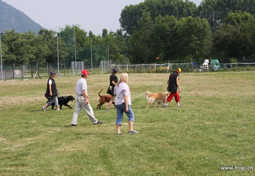 IMG 0069