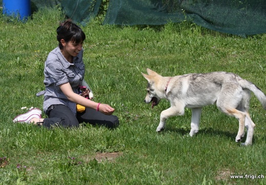 IMG 8776