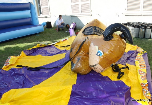 IMG 1713