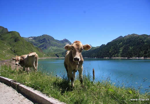 IMG 0420