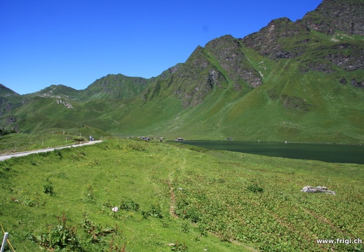 IMG 0426
