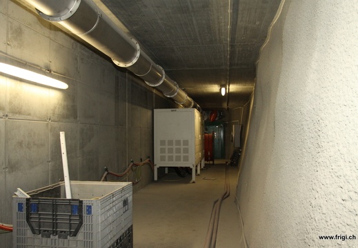 IMG 5870