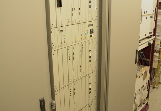 IMG 7800